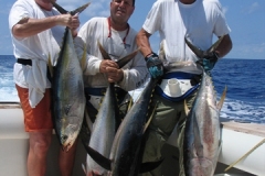 bahamas_yellowfin-Copy-Copy
