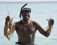 bakers_lobster_edited-Copy-Copy