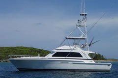 bertram-profile-abacos-Copy-Copy