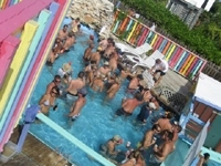 nippers_pool