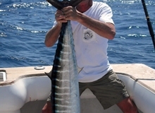 wahoo_big