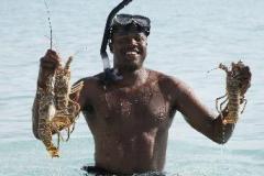 bakers_lobster