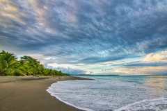 rainForestOcean