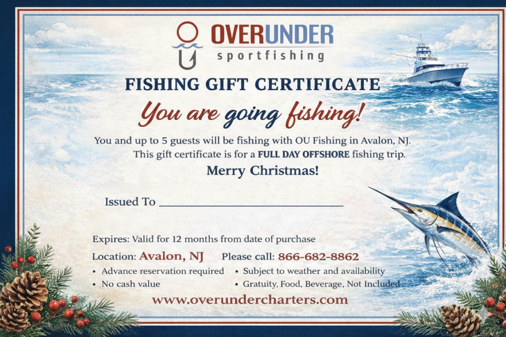 Full Day Offshore Gc